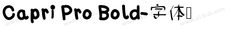 Capri Pro Bold字体转换